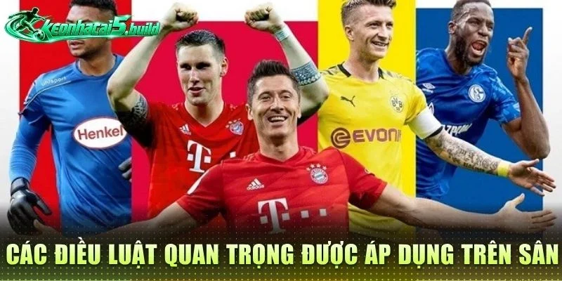 Các điều luật quan trọng được áp dụng trên sân