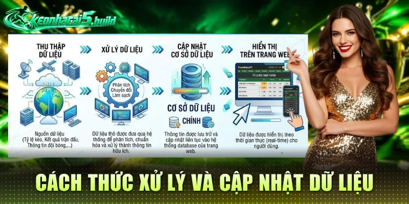 Cách thức xử lý và cập nhật dữ liệu từ nền tảng
